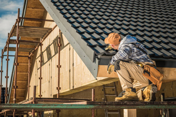 Best Skylight Installation and Repair  in Goodyear, AZ